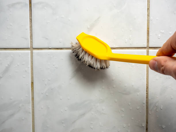 Best Mold Cleaning Services  in Heber, CA