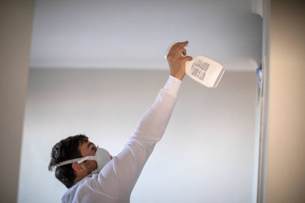 Best Mold Removal Company Near Me  in Heber, CA
