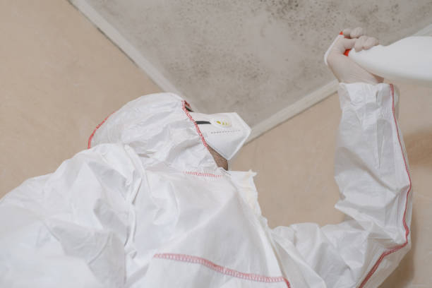 Best Mold Testing  in Heber, CA